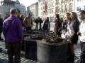 images:olomouc:slides:img_3927.jpg