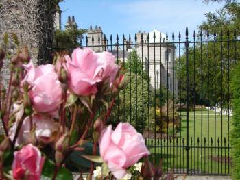 |A rose garden at Powerscourt Estate